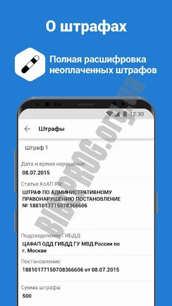 Скриншот Базы ГИБДД 3