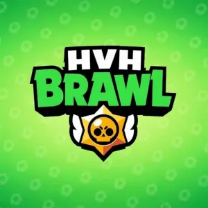 Hvh Brawl