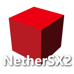 NetherSX2