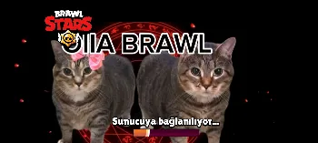 Скриншот Oiia Brawl 1