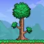 Terraria Mod