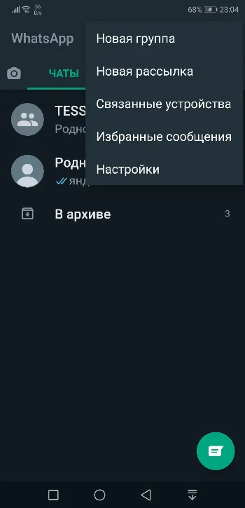 Скриншот WhatsApp 1
